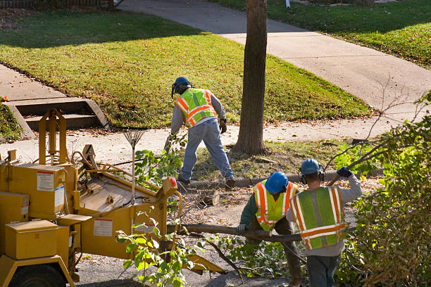 Best Lawn Irrigation Installation and Maintenance  in Eaton, CO