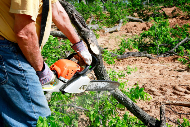 Lawn Irrigation Installation and Maintenance in Eaton, CO